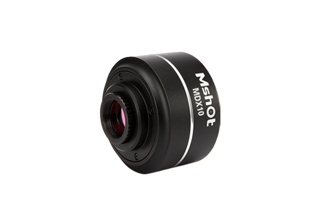 奧林巴斯顯微鏡 奧林巴斯顯微鏡