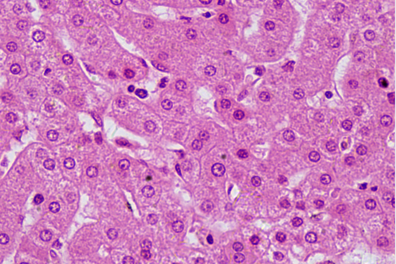 只爭朝夕，不負韶華|明美光電年度會議成功召開