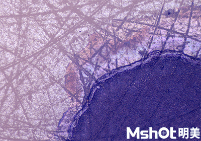 實體面材(人造石)