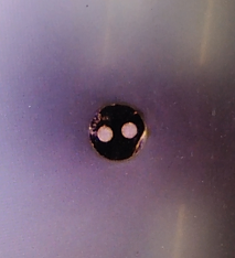 顯微成像系統(tǒng)在光纖檢測領域的應用
