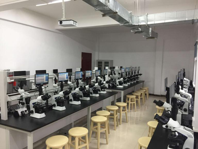 構(gòu)建智慧教室 明美互動教學系統(tǒng)一展風采
