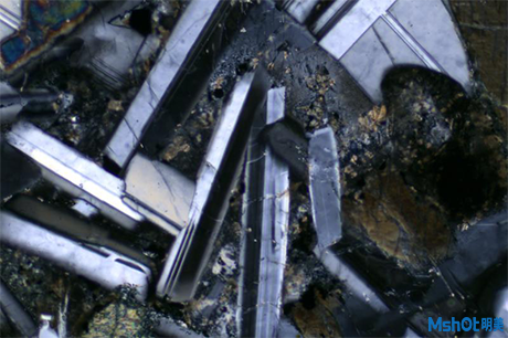 明美顯微鏡相機用于看尿結(jié)晶