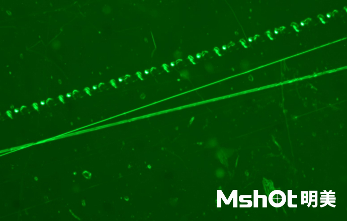 熒光顯微鏡應用于觀察LED熒光膜損壞情況