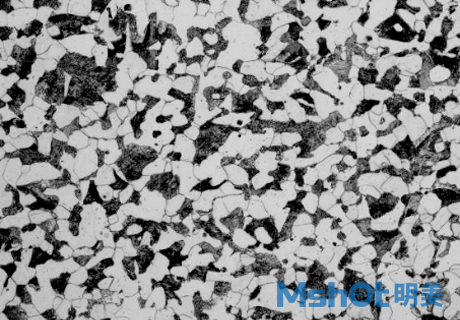 金相顯微鏡應用于工業(yè)鑄鋼領域