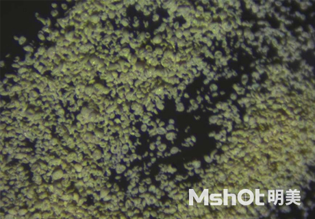 顯微鏡下的陶瓷顆粒