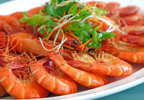 顯微鏡應用于蝦苗篩查