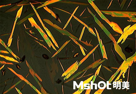 體視偏光顯微鏡用于化學晶體觀察