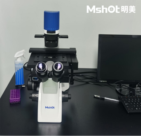 斑馬魚化妝品方向可以用什么顯微鏡觀察呢？