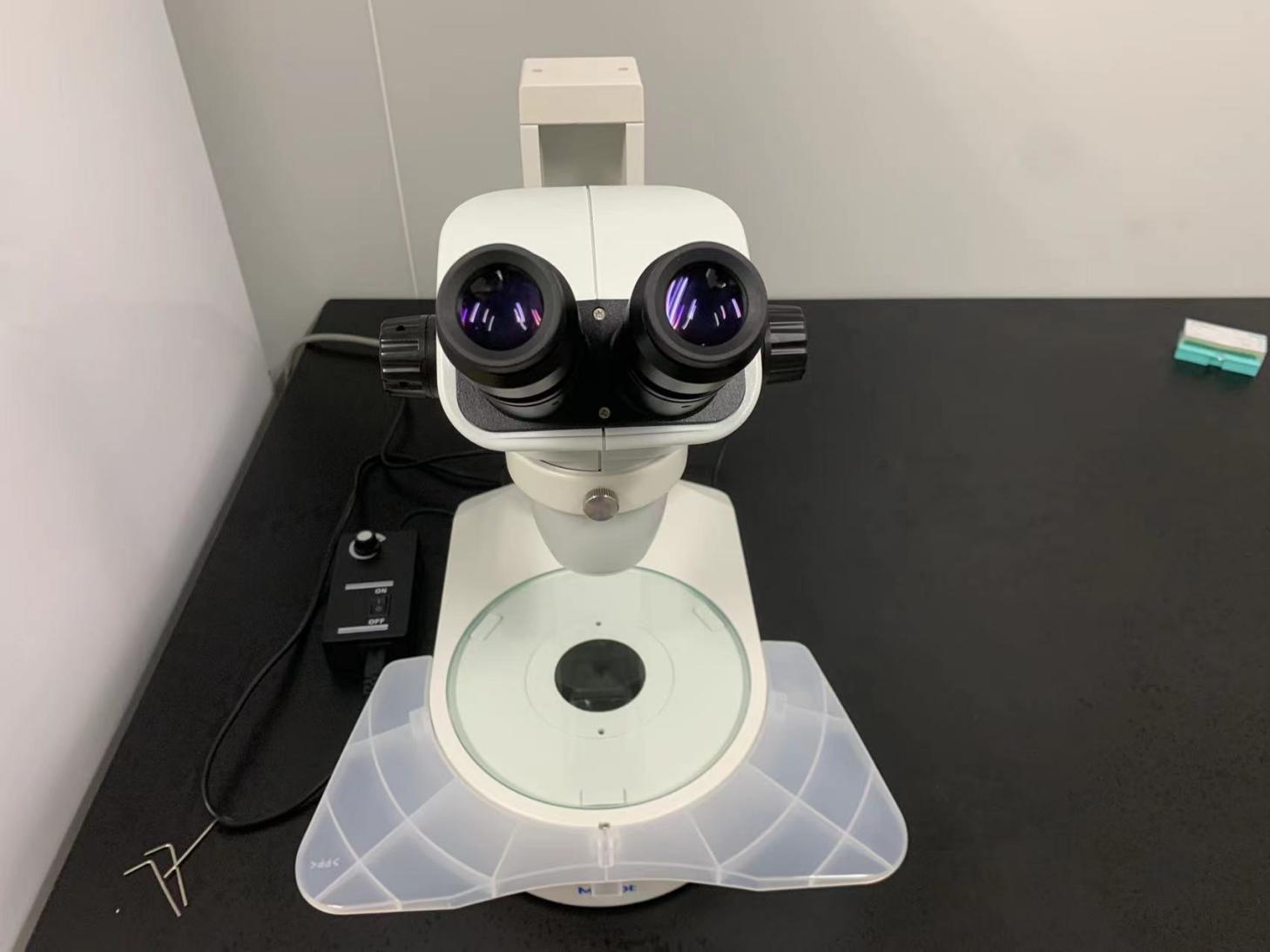 體視顯微鏡應用于線蟲觀察|應用百科