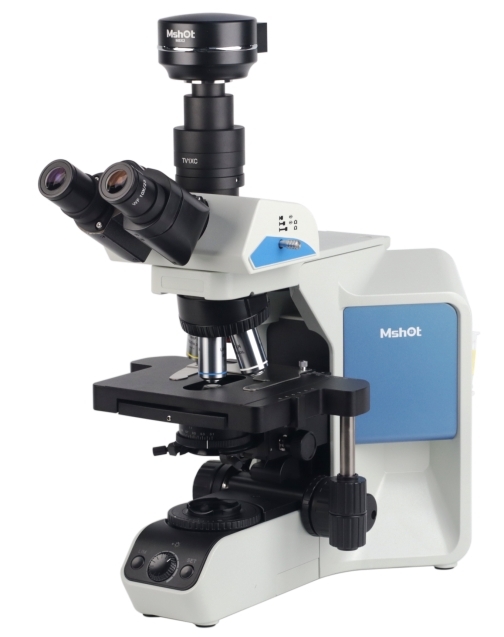 顯微鏡下的霍亂弧菌|應用百科