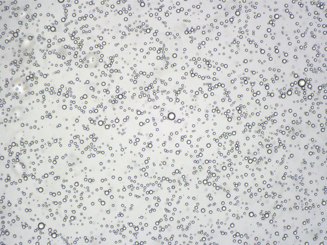 偏光顯微鏡應用于化妝品乳液檢測|應用百科