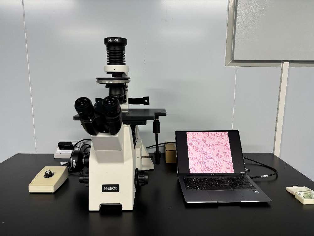 倒置熒光顯微鏡應用于顯微注射|應用百科