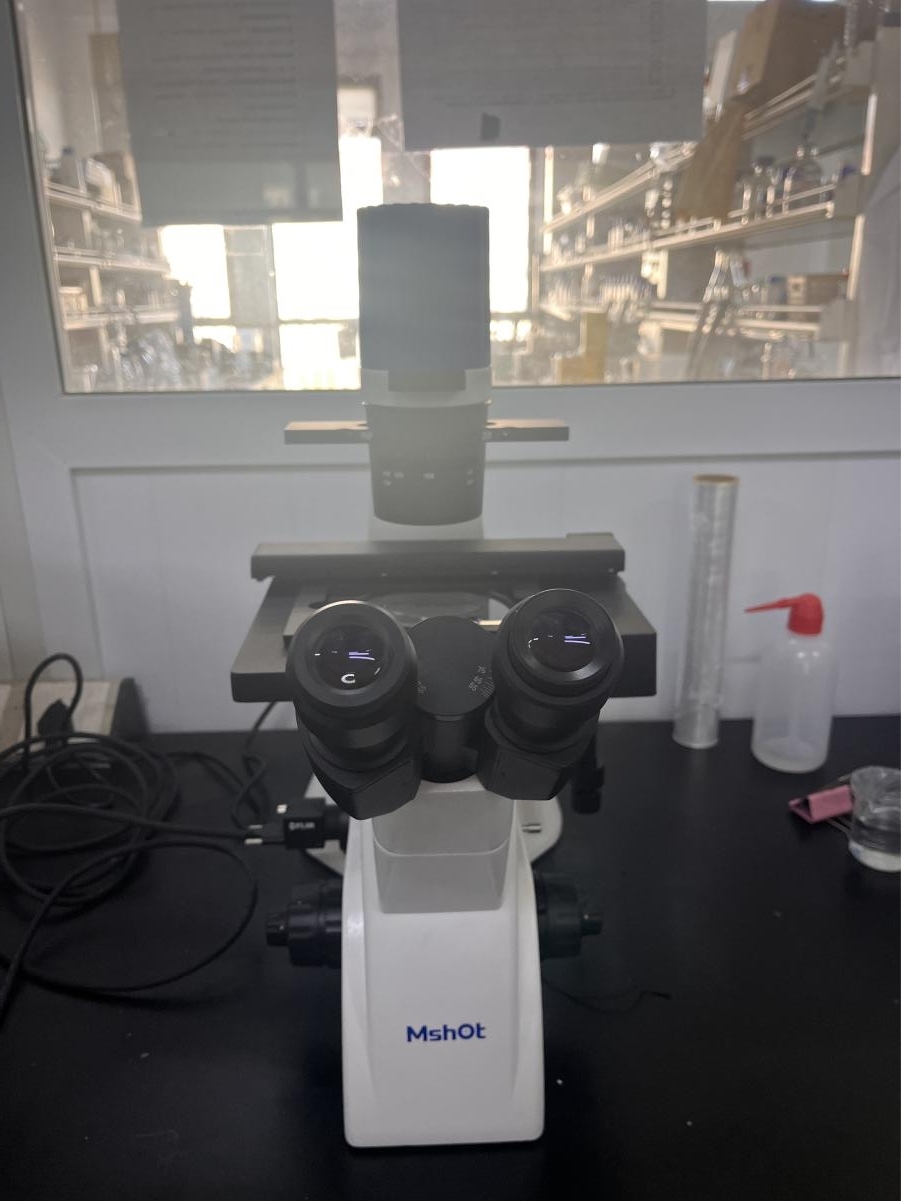 微流控用什么顯微鏡觀察？|應用百科