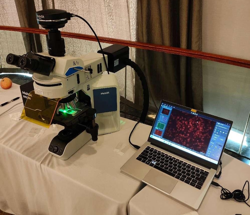熒光顯微鏡應用于菌群鑒別|應用百科