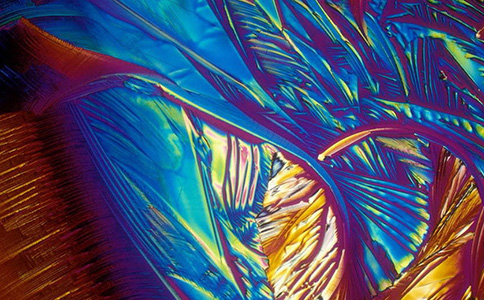 �@���㙉��Һ�θ�������Ŵ�D��