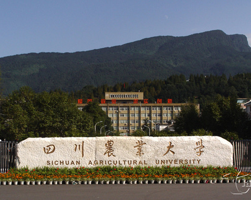 四川農(nóng)業(yè)大學