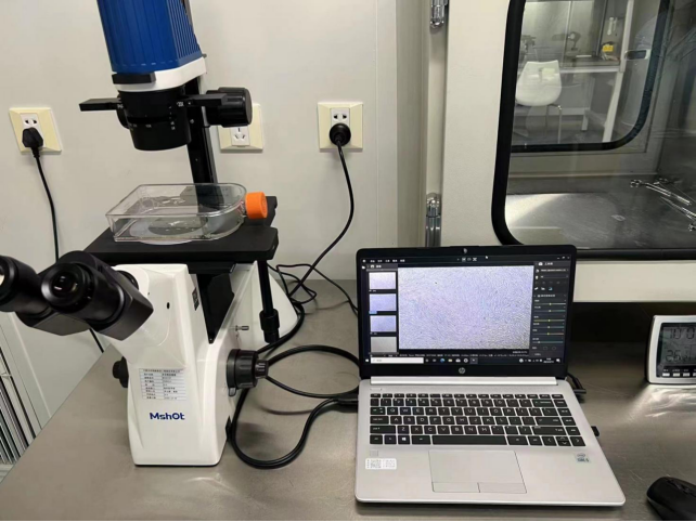 顯微鏡帶你認識不同的纖維|應用百科