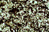 ��ճ��Ĕz�D�@΢�DƬ