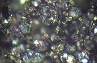 �����Ĕz�D�@΢�DƬ