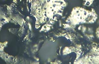 �����Ĕz�D�@΢�DƬ