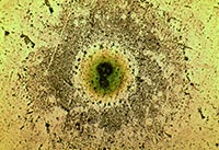 ��W(xu��)�Ĥ�@΢�DƬ