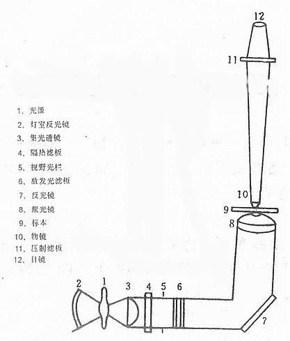�ɹ�ϵ�y(t��ng)�Y(ji��)��(g��u)�D