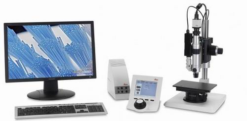 ���S�������@΢�R