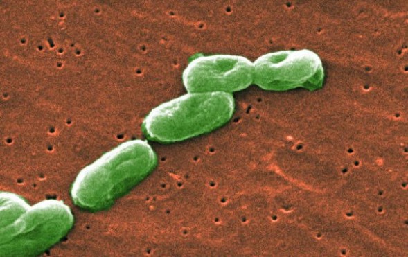 �@΢�R�µļ�(x��)��